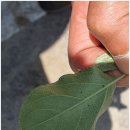 전라농장 이미지