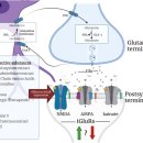 Re: stress response .. Psychoneuroimmunology 과학의 통시적 탐구!! 이미지