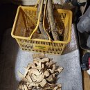 산골텃밭소식. 몸살약에 간수치 내려가고 한달만에 정상 이미지