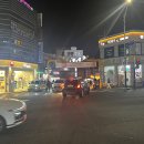 와오징어다