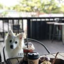 SMP미트 | [제주도 여행] 반려견동반 제주도 여행 31일차 (카페전학생-이승악오름-코코메아-인계동껍데기)