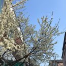 수원천로 407번길 | 수원 행궁동 신점 사주 '별상아씨' 올해 운세 상담 후기