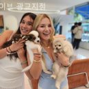 펫웨이브 광교지점 이미지