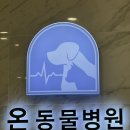 양주 온 동물병원 이미지