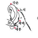 귀가 아플 때 이미지