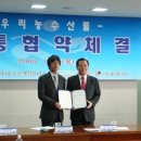 새암유통 이미지