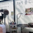 펫프린스애견샵 이미지