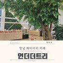 화성초록병원 | 화성 근교 아기 데리고 가기 좋은 카페 &#39;언더더트리&#39; 후기
