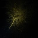 남해-246 이미지