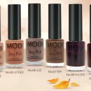 모디 (modi) 이미지