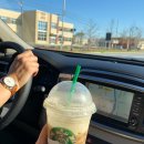 Garage house | 미국 일상 주재원 와이프 일상 아파트에서 하우스로 이사