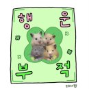한우정육소다산점 이미지