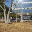 해안식당 여수웅천점 이미지