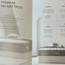 소프라믹 청담