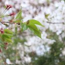 고향의봄도서관 이미지