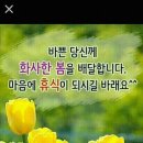 멋진 하루 이미지