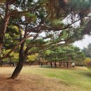 화정파크골프장 이미지