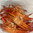 옥상조개구이&홍게무한리필 | [동해] 홍게맛집 옥상조개구이&amp;홍게무한리필