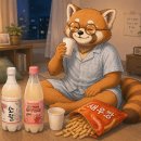 미주마트 | 영덕막걸리 비교 후기, 소월미주와 복숭아막걸리 마셔본 솔직한 후기