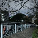 엠솔루션 | [목포헬스장] 엠에스유 피트니스 후기💪