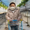 이도윤농장 이미지