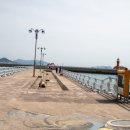 늘두루 | 팔팔했던 삼천포 맛집 리스트