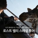 스페셜투어 이미지