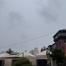 와와커피 | 4월 근황 모음Zip/마켓컬리최애치즈와와인/을3카페공간/커피앤시가렛/서순라길 비틀비틀타코 포장후기🥰