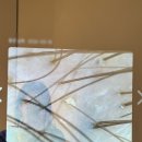 포레스타 | 산본 두피관리 도노포레스타 탈모집중 스페셜케어 받은 솔직후기!