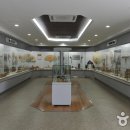 한국 대나무박물관 이미지