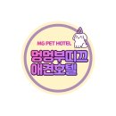 멍멍부띠끄 이미지