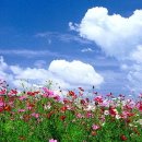 내마음의 파스텔 이미지