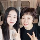 지젤헤어 - 서귀포시 | 분당 판교미용실 순수더블트리힐튼 판교점 지젤 부원장 전체염색 후기