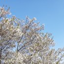 덕천3동-8 이미지