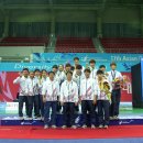 제17회 인천 아시안게임 우슈쿵푸종목(국가대표 선수들과) 이미지