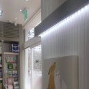 연이동물병원 이미지