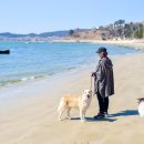 장등해수욕장 이미지