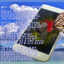 축복의통로 이미지