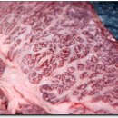 청정한우농장 이미지