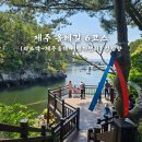 6코스(쇠소깍~제주올레여행자센터) 정방향 완주 쇠소깍 정방폭포 서복전시관 이중섭거리 주요 볼거리 후기