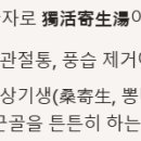 홍화약국 이미지