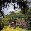 주정차단속-109 이미지