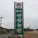 광운관광농원 이미지