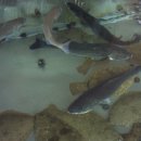 해송횟집 이미지