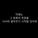 황금복싱 이미지