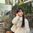 이유비 카카오 검색결과