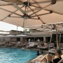 아일랜드헤어 | 신라호텔 서울 호캉스ㅣ야외수영장 어반아일랜드🏝ㅣ조식 후기🍽️