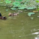 윤의열 농장 이미지