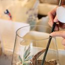 테라리움 클래스 이미지