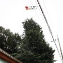 춤추는달팽이도서관 이미지